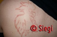 Siegis-Tattooarbeiten-126